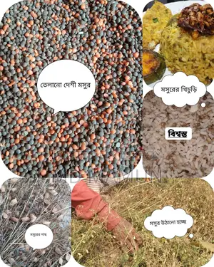Whole Lentil Khichuri Cooking