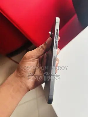 Apple iPhone 12 Pro Max 256 GB Black