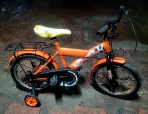 Sunshare 16 Size Baby Cycle