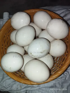 দেসি মুরগির ডিম