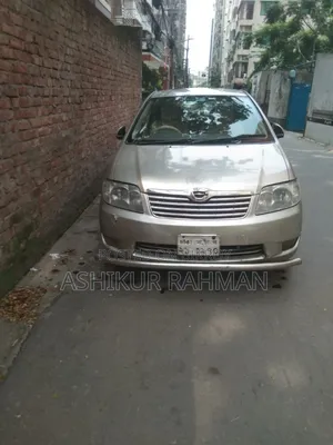 Toyota Corolla 2004 Brown