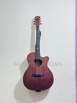 Guitar (Tayste Ts 32)