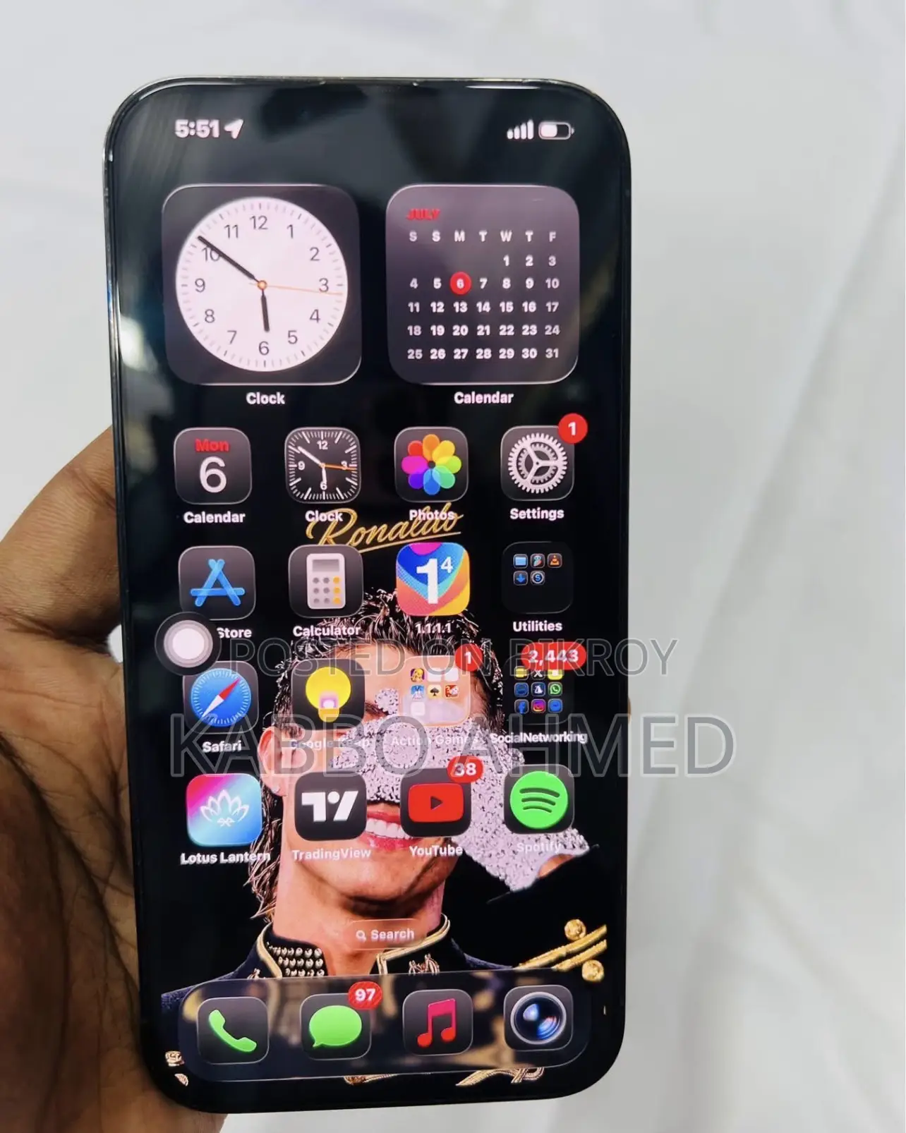Apple iPhone 13 Pro Max 256 GB Green