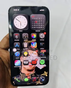 Apple iPhone 13 Pro Max 256 GB Green
