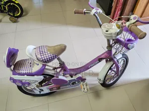 Phoenix Girls 16 Inch Bicycle