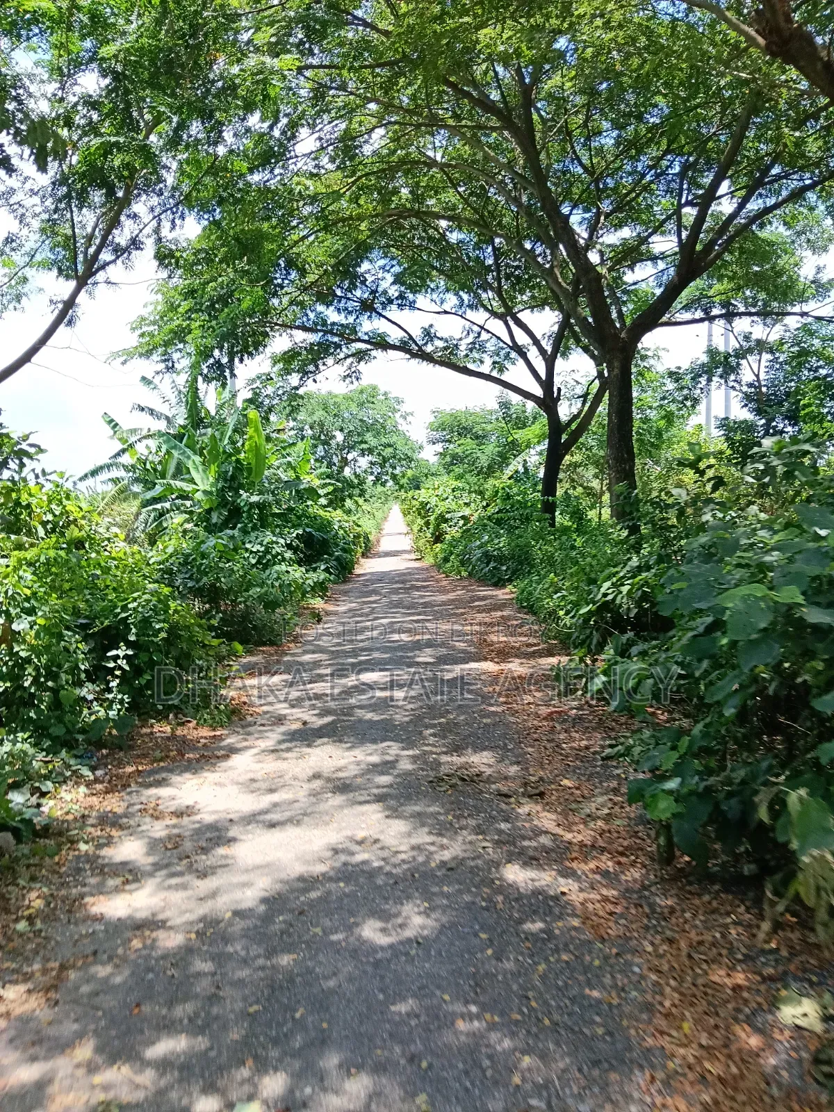 সেক্টর-২৫, দক্ষিণমুখী ৫ কাঠা প্লট বিক্রয়