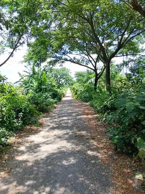 সেক্টর-২৫, দক্ষিণমুখী ৫ কাঠা প্লট বিক্রয়