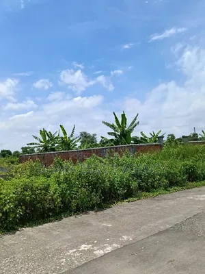 Sector-23, Box Corner 3 Katha Plot Sale