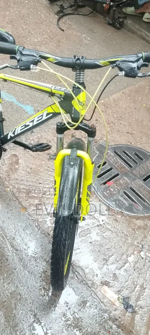 কিসেল সাইকেল