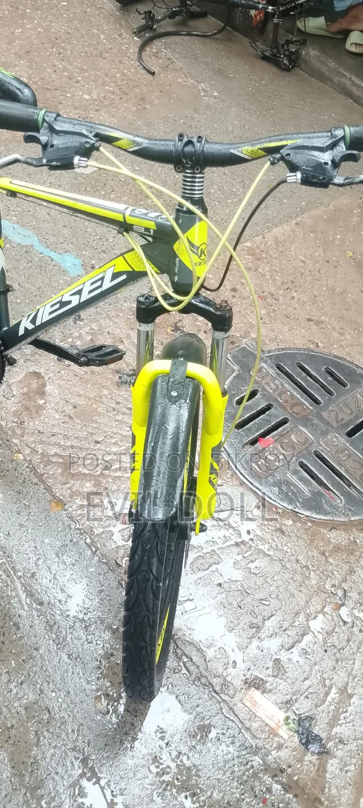 কিসেল সাইকেল