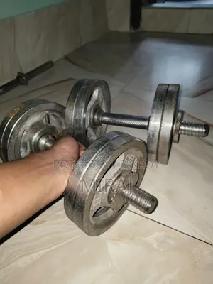 ডাম্বেল এবং ইজেড বার