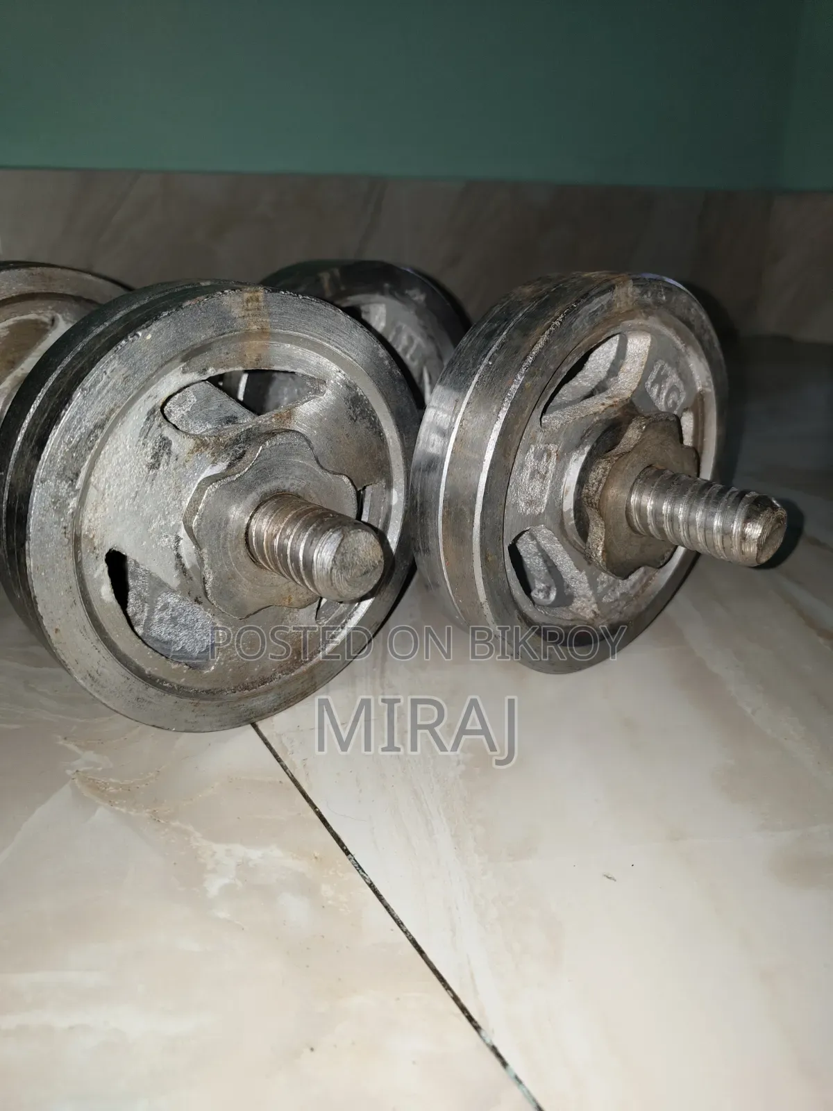 ডাম্বেল এবং ইজেড বার