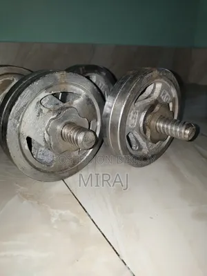 ডাম্বেল এবং ইজেড বার