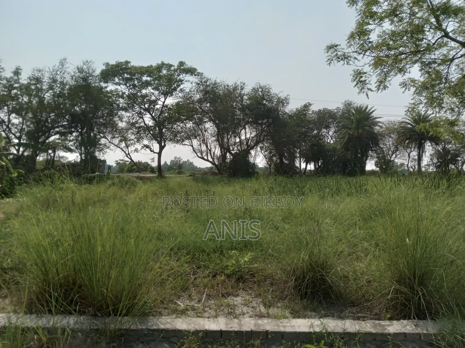 Land for sale