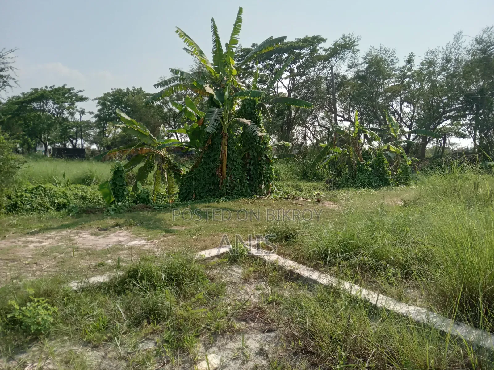 Land for sale