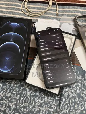 Apple iPhone 12 Pro Max 256 GB Blue