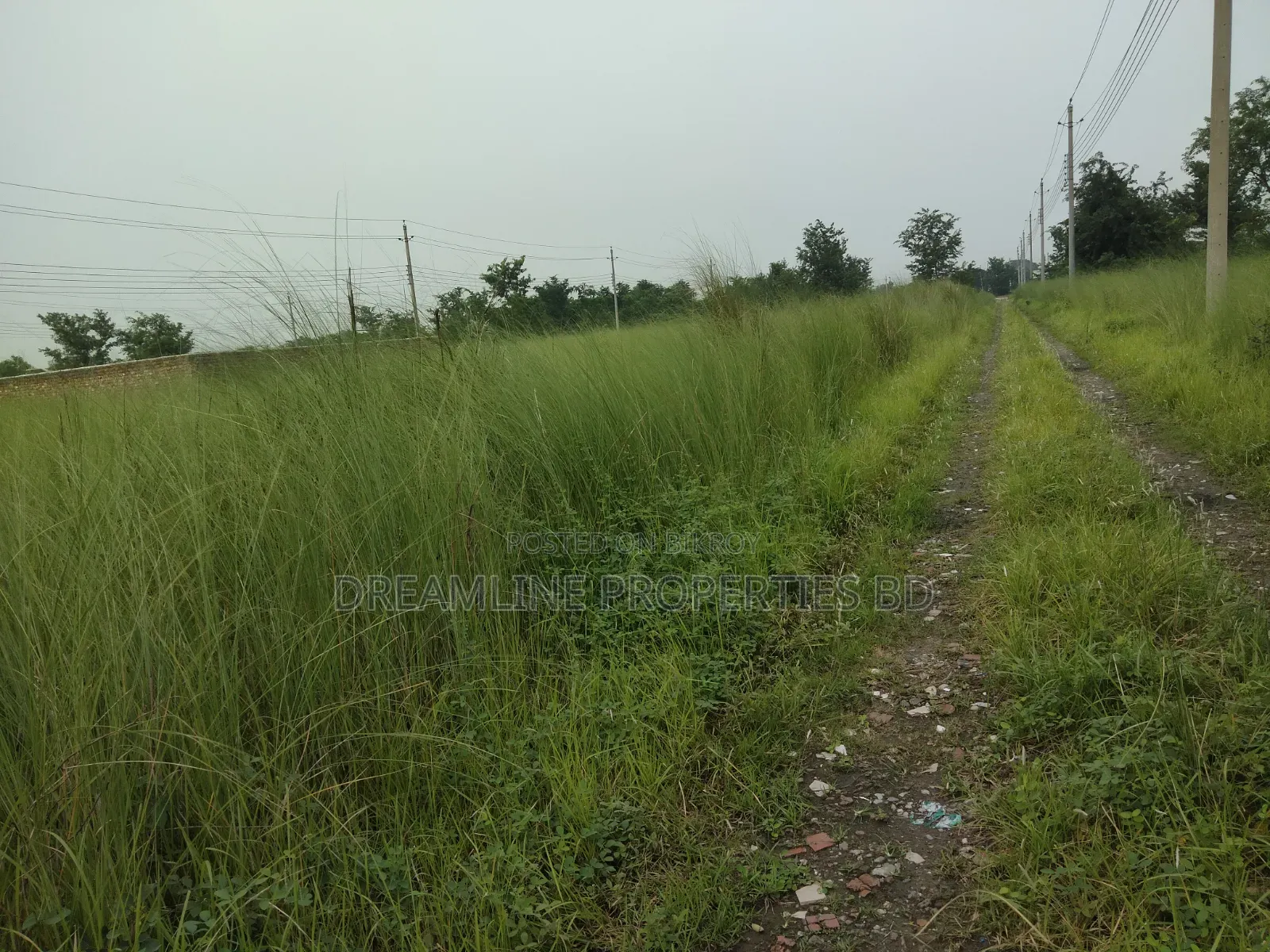 বসুন্ধরায় এন-ব্লক দক্ষিণমুখী ৩ কাঠার প্লট বিক্রয়