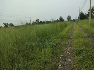 বসুন্ধরায় এন-ব্লক দক্ষিণমুখী ৩ কাঠার প্লট বিক্রয়