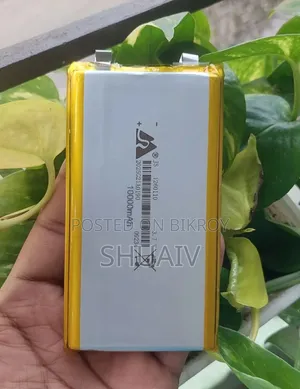 ১০০০০এমএএইচ ব্যাটারি