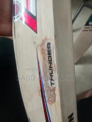 ক্রিকেট ব্যাট