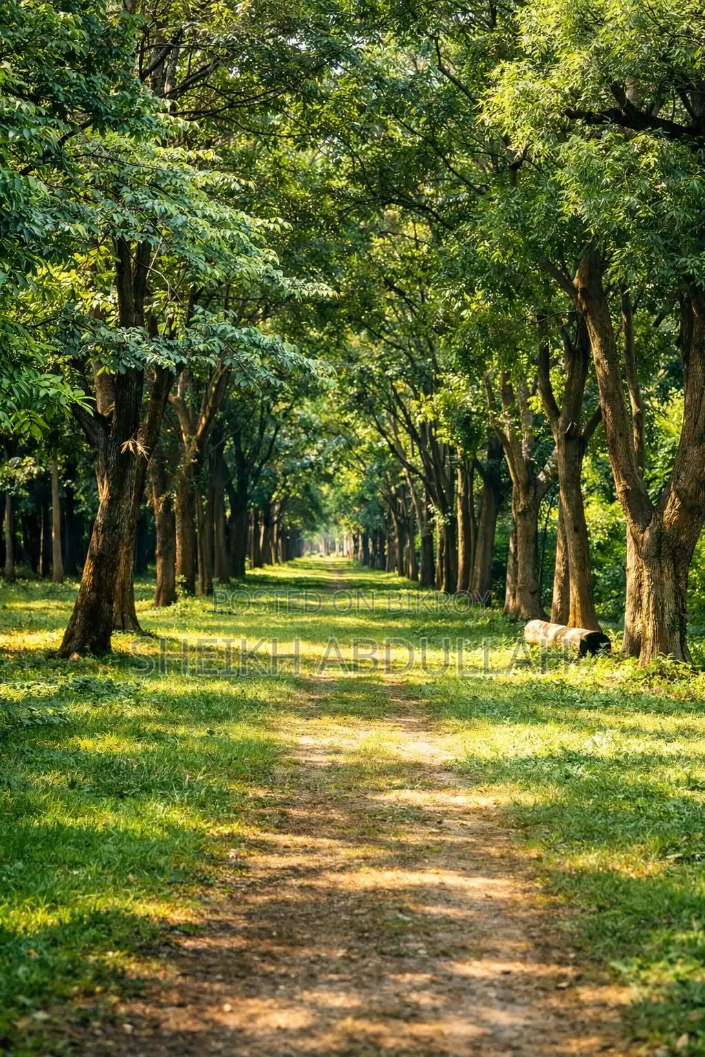 5 Katha plot for sale in Navana Valley. 40ft road with the plot