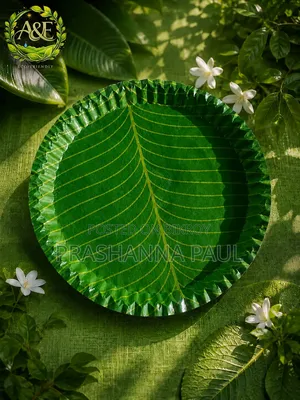 ওয়ান টাইম প্লেট