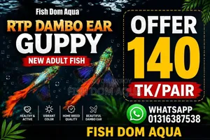 RTP Guppy ( New Adult Pair)