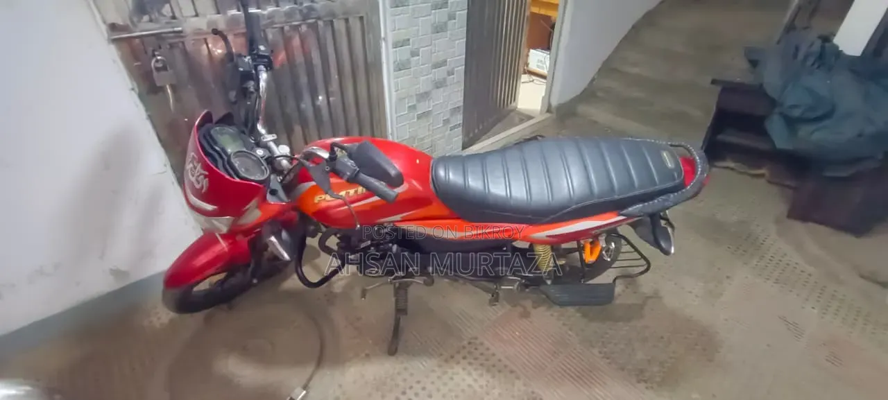 Bajaj Platina 110 2024 Red