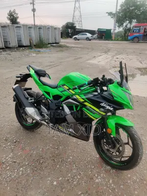 Kawasaki Bike 2018 Green
