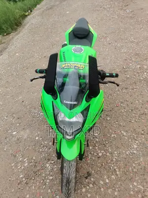Kawasaki Bike 2018 Green