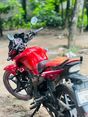 Hero Hunk 2010 Red
