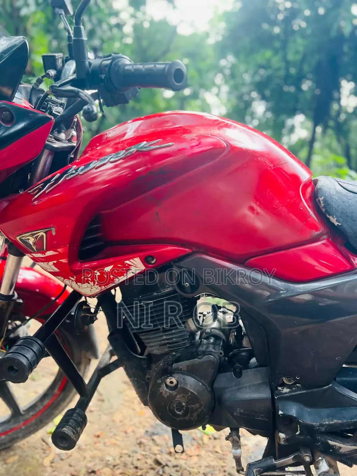 Hero Hunk 2010 Red