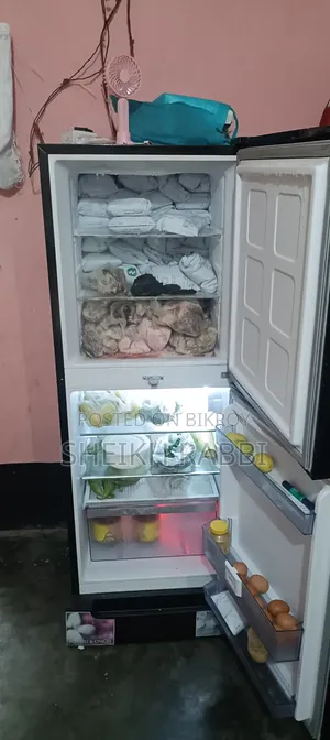Singer Fridge