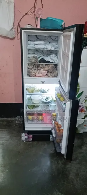 Singer Fridge