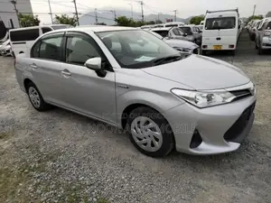 Toyota Axio 2021 Silver