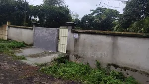 3 Katha Plot facing South next to 300 Feet in Sector 9
