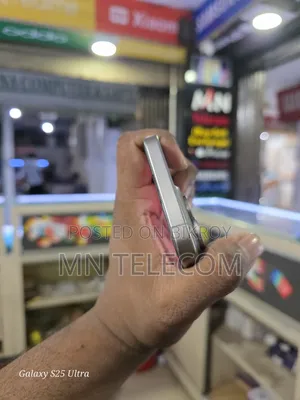 অ্যাপল আইফোন ১৫ প্রো ম্যাক্স ২৫৬ জিবি সিলভার