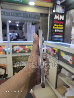 অ্যাপল আইফোন ১৫ প্রো ম্যাক্স ২৫৬ জিবি সিলভার