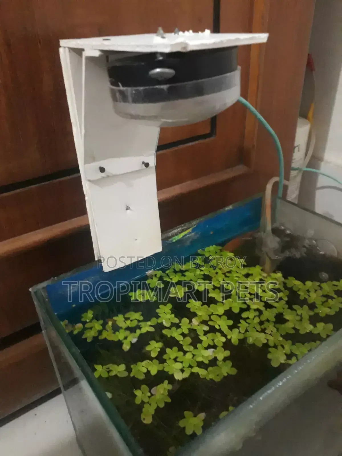 (New) Make Your Custom Light for Aquarium Home Delivary Available