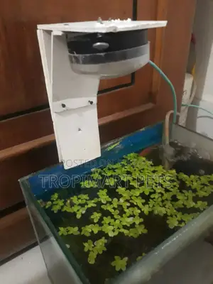 (New) Make Your Custom Light for Aquarium Home Delivery Available