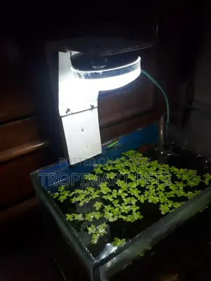(New) Make Your Custom Light for Aquarium Home Delivary Available