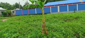 10 Katha land for urgent sale