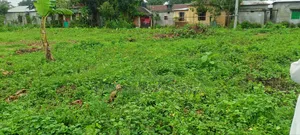 10 Katha land for urgent sale
