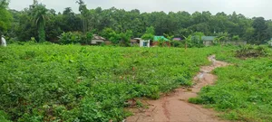 10 Katha land for urgent sale
