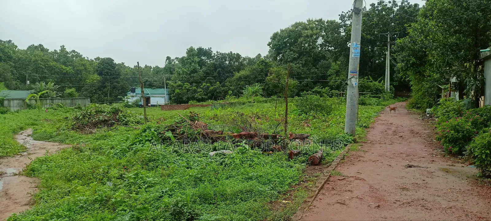 10 Katha land for urgent sale