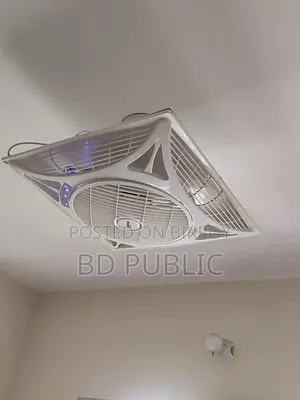 Fall Ceiling Fan