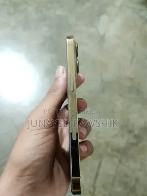 অ্যাপল আইফোন ১৩ প্রো ১২৮ জিবি গোল্ড