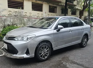 Toyota Axio 2021 Silver