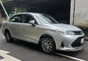 Toyota Axio 2021 Silver