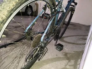 Veloce Cycle